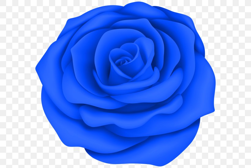 Blue Rose Desktop Wallpaper Clip Art, PNG, 600x550px, Rose, Art, Art Museum, Azure, Blue Download Free