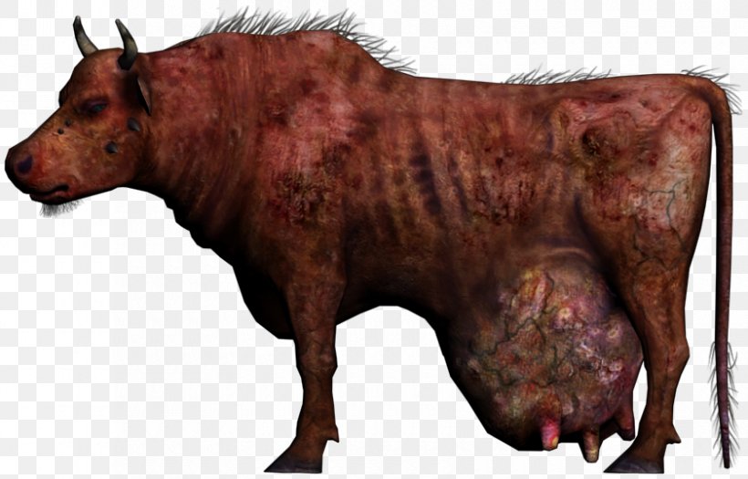 Fallout: New Vegas Fallout 4 The Pitt The Elder Scrolls V: Skyrim Wasteland, PNG, 840x538px, Fallout New Vegas, Bison, Brahmin, Bull, Cattle Like Mammal Download Free