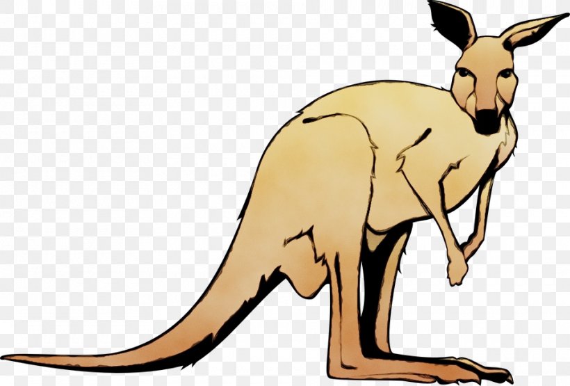 Kangaroo Macropodidae Kangaroo Red Kangaroo Wallaby, PNG, 960x650px, Watercolor, Animal Figure, Cartoon, Kangaroo, Macropodidae Download Free