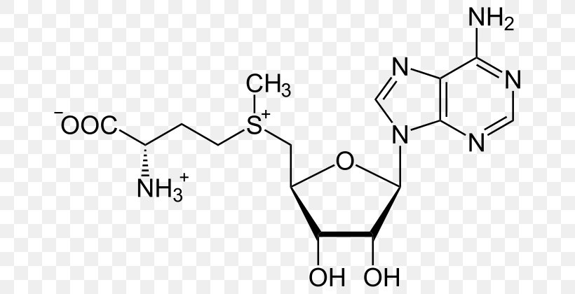 S-Adenosyl Methionine S-Adenosyl-L-homocysteine Sulfonium Methyltransferase, PNG, 700x420px, Sadenosyl Methionine, Adenosine, Adenosine Triphosphate, Amino Acid, Area Download Free