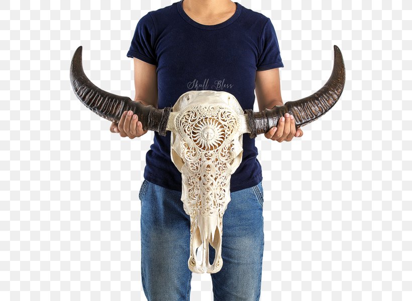 Skull Forehead Horn Nose, PNG, 600x600px, Skull, Animal, Buffalo, Dragon, Forehead Download Free