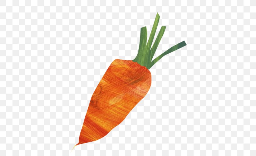Carrot Cake Vegetable Organic Food Vegetarian Cuisine, PNG, 500x500px, Carrot, Baby Carrot, Beetroots, Carrot Cake, Chakalaka Download Free