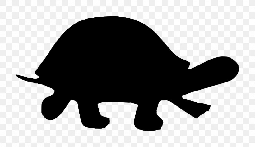 Turtle Silhouette Clip Art, PNG, 1000x579px, Turtle, Black, Black And White, Carnivoran, Cat Download Free