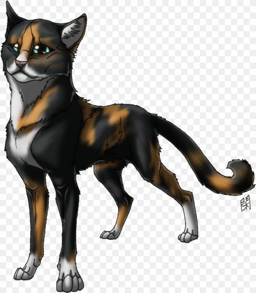 Whiskers Red Fox Cat Dog Breed, PNG, 1010x1156px, Whiskers, Breed, Carnivoran, Cartoon, Cat Download Free