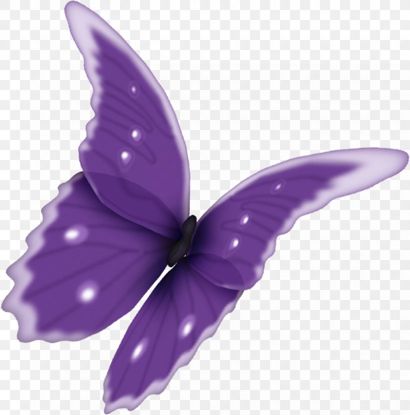 Butterfly PhotoScape Clip Art, PNG, 831x842px, Butterfly, Butterflies And Moths, Flower, Insect, Invertebrate Download Free