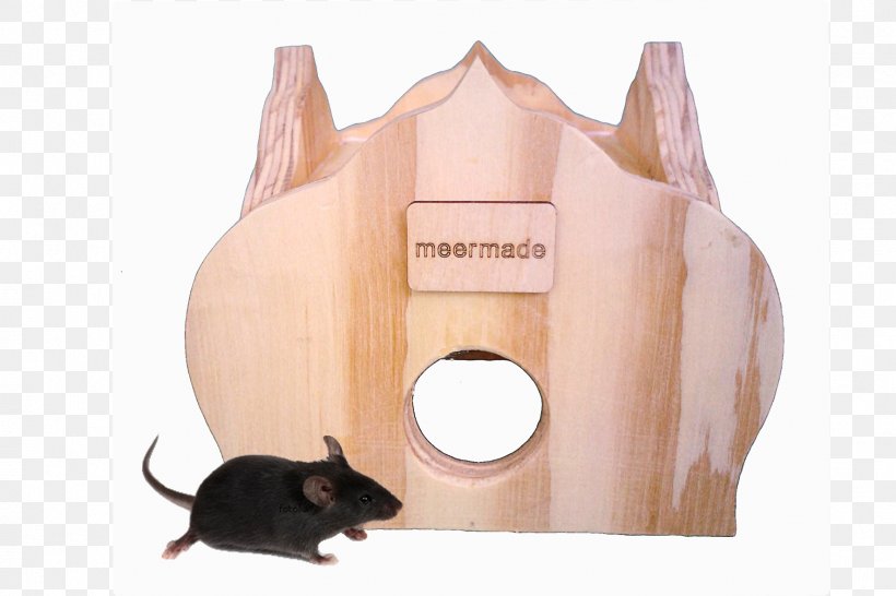 Cat Dog Mouse Rat Rodent, PNG, 1772x1181px, Cat, Animal, Animal Husbandry, Box, Dog Download Free