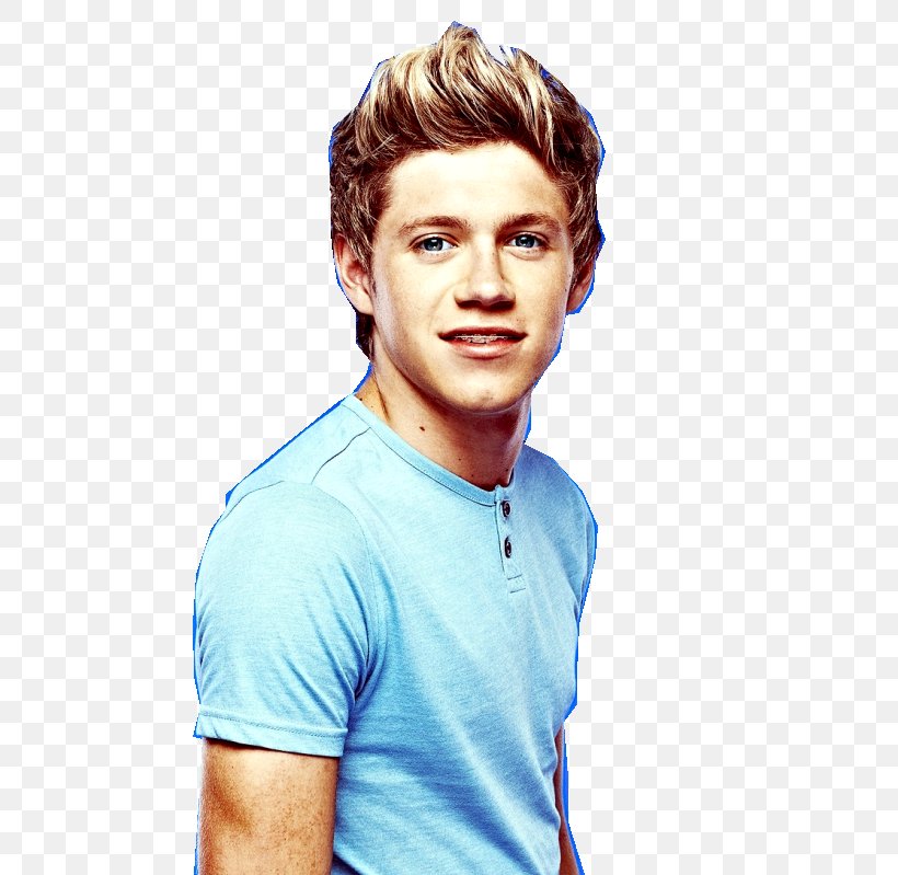 Niall Horan One Direction, PNG, 782x799px, Watercolor, Cartoon, Flower, Frame, Heart Download Free
