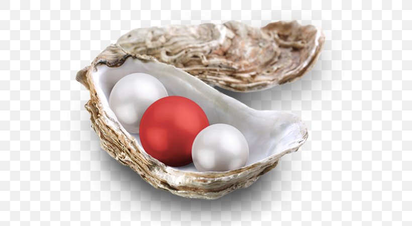 Oyster Clam Pearl Mask Egg, PNG, 580x450px, Oyster, Animal Source Foods, Clam, Clams Oysters Mussels And Scallops, Dishware Download Free