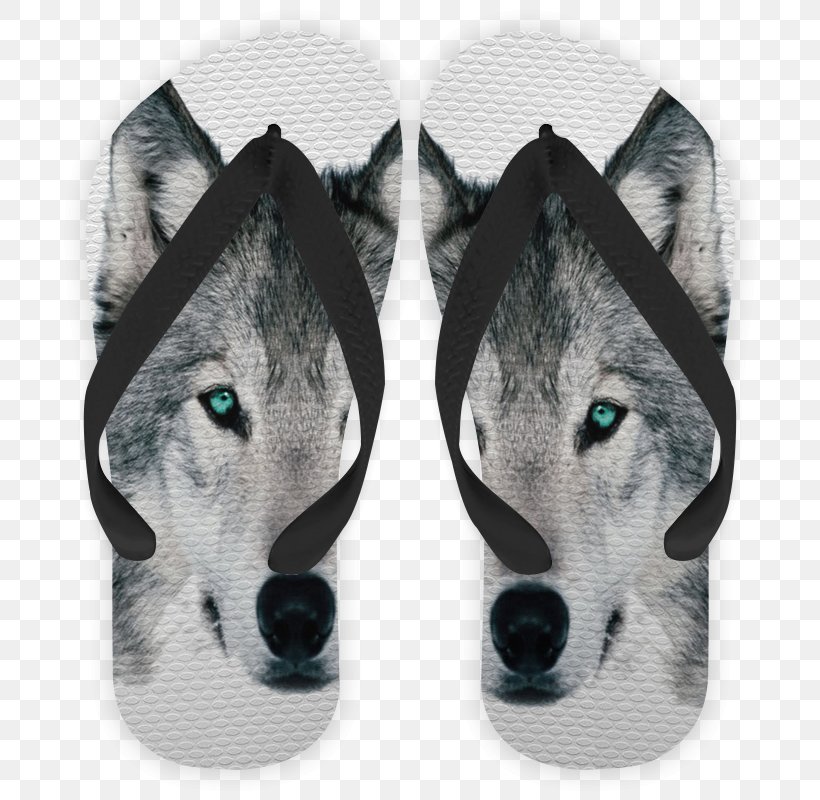Siberian Husky Snout Shoe, PNG, 800x800px, Siberian Husky, Carnivoran, Dog, Dog Like Mammal, Footwear Download Free