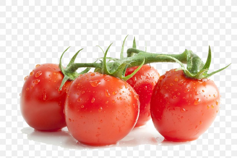 Cherry Tomato Tomato Soup Lycopene Extract Damiana, PNG, 2362x1575px, Cherry Tomato, Bush Tomato, Damiana, Diet Food, Extract Download Free