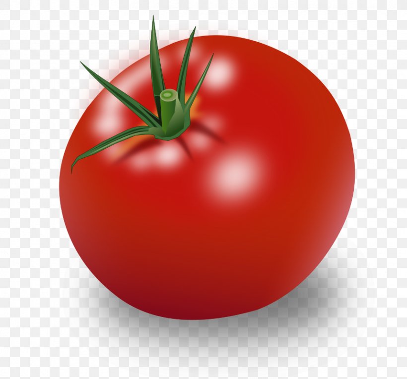 Cherry Tomato Vegetable Clip Art, PNG, 858x800px, Cherry Tomato, Apple, Bush Tomato, Diet Food, Display Resolution Download Free