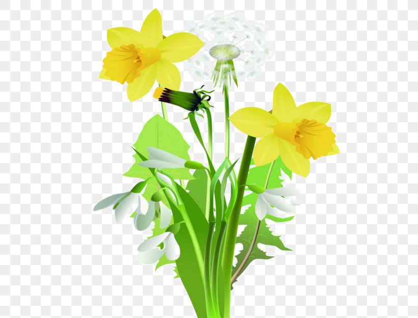 Daffodil Flower Tulip Clip Art, PNG, 600x624px, Daffodil, Amaryllis Family, Cut Flowers, Drawing, Floral Design Download Free
