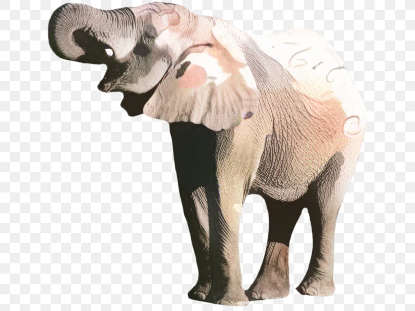 African Bush Elephant Image African Forest Elephant, PNG, 635x614px, African Bush Elephant, African Elephant, African Forest Elephant, Animal Figure, Art Download Free