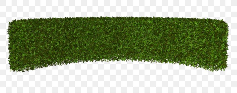Hedge Lawn Artificial Turf Rectangle, PNG, 800x321px, Hedge, Artificial