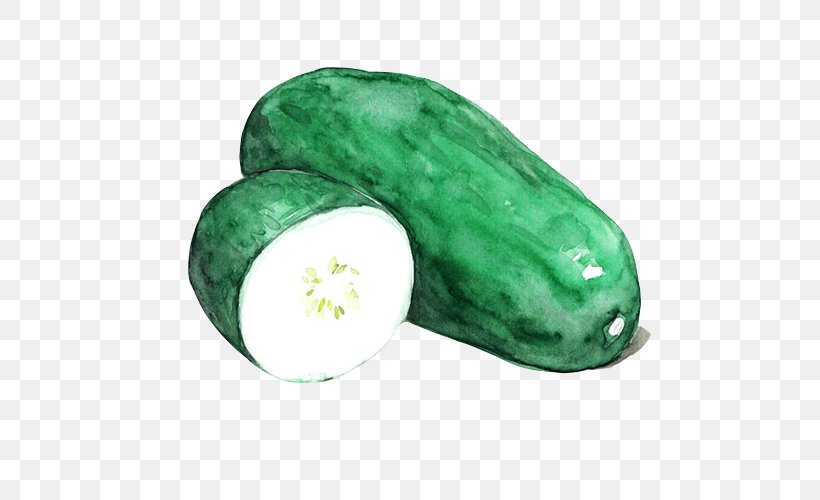 Vegetable Watercolor Painting Wax Gourd Vegetarian Cuisine, PNG, 500x500px, Vegetable, Cartoon, Color, Cucumber, Cucumber Gourd And Melon Family Download Free