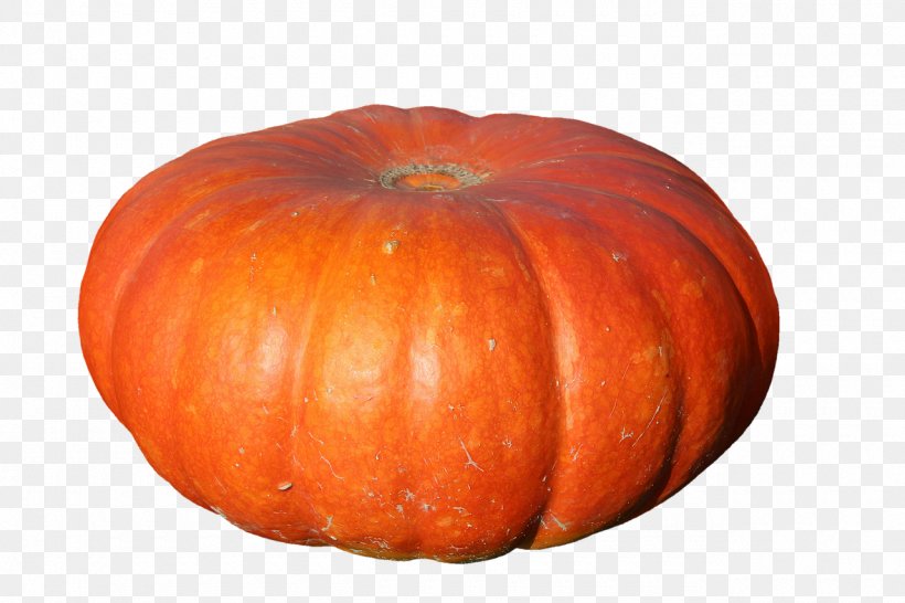 Crookneck Pumpkin Calabaza Image Winter Squash, PNG, 1280x853px, Pumpkin, Calabaza, Crookneck Pumpkin, Cucumber Gourd And Melon Family, Cucurbita Download Free