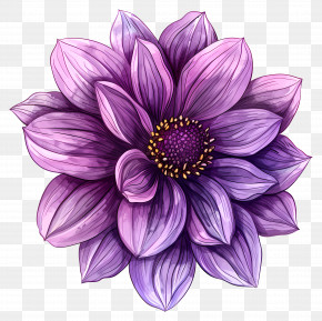 Dahlia Flower - Stunning Purple Dahlia Flower Illustration PNG