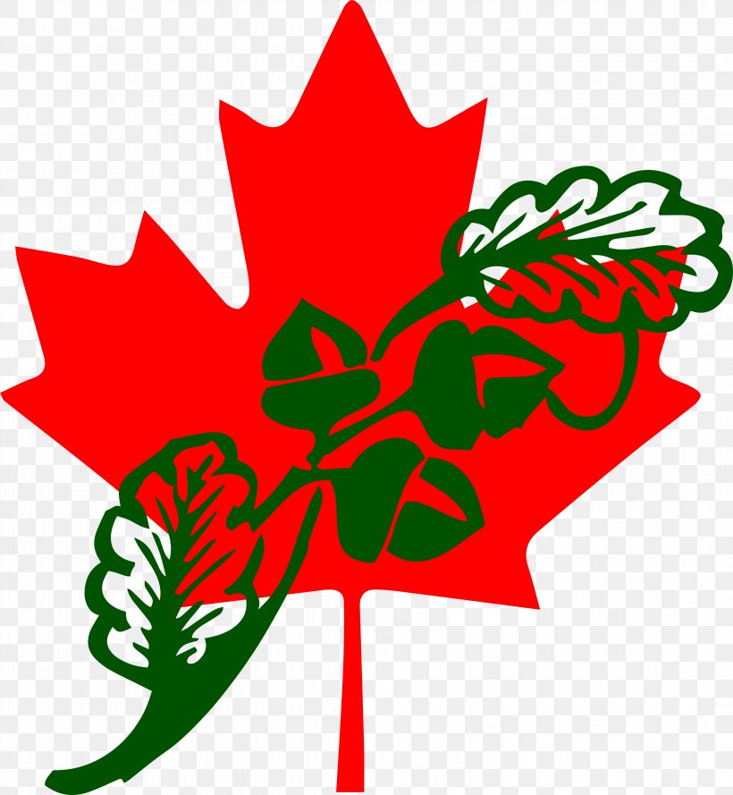 Flag Of Canada Maple Leaf Canadian Red Ensign, PNG, 4254x4614px, Canada, Area, Artwork, Canadian Red Ensign, Cut Flowers Download Free