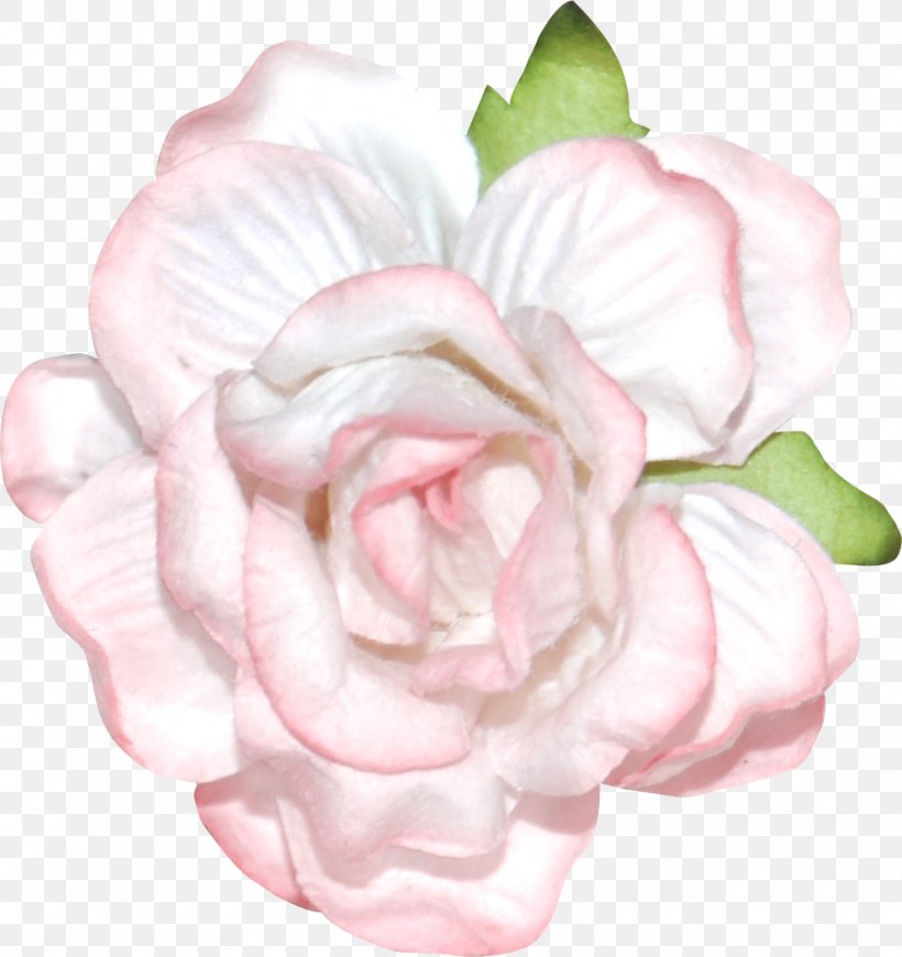 Garden Roses Cabbage Rose Petal Flower, PNG, 990x1051px, Garden Roses, Angel, Artificial Flower, Begonia, Cabbage Rose Download Free