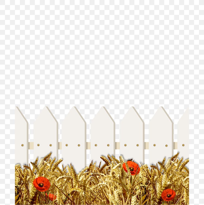 Grasses Wheat Fence Ear Poppy, PNG, 700x825px, Grasses, Christmas, Christmas Decoration, Commodity, Display Window Download Free