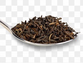 Green Tea - Gunpowder Tea Green Tea Oolong Dianhong PNG