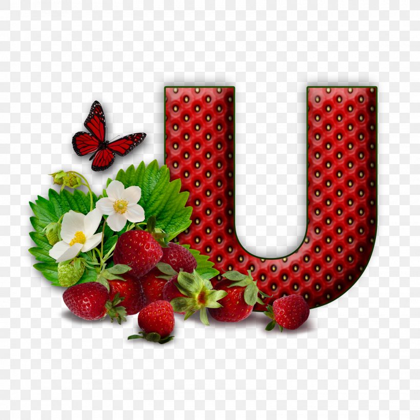 Letter Alphabet Flower M U, PNG, 1600x1600px, Letter, All Caps, Alphabet, Floral Design, Flower Download Free