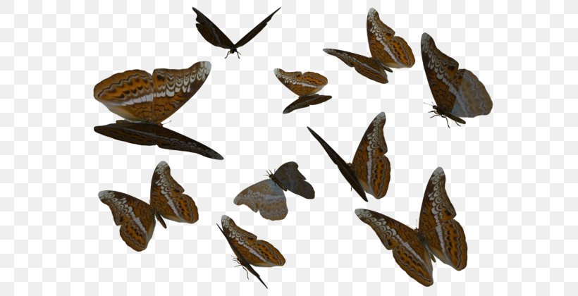 Butterfly Moth Birdwing Insect Clip Art, PNG, 600x420px, Butterfly, Arthropod, Birdwing, Deviantart, Fauna Download Free