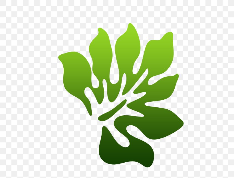 PIXTA, Inc. Leaf Illustration Clip Art Photography, PNG, 483x625px, Pixta Inc, Botany, Flower, Flowering Plant, Green Download Free