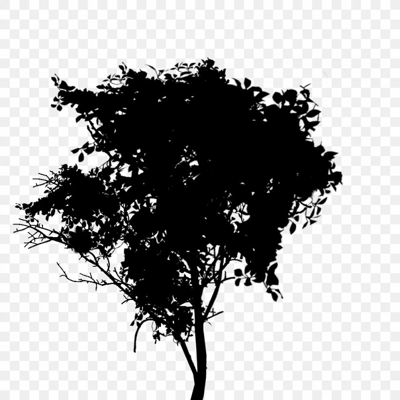 Silhouette Leaf Sky, PNG, 1024x1024px, Silhouette, Blackandwhite, Branch, Leaf, Plant Download Free