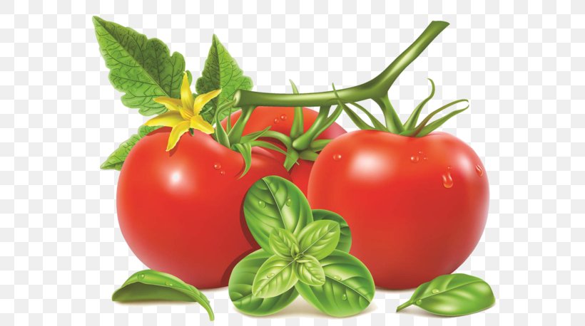 Tomato, PNG, 600x458px, Natural Foods, Bush Tomato, Cherry Tomatoes, Food, Fruit Download Free