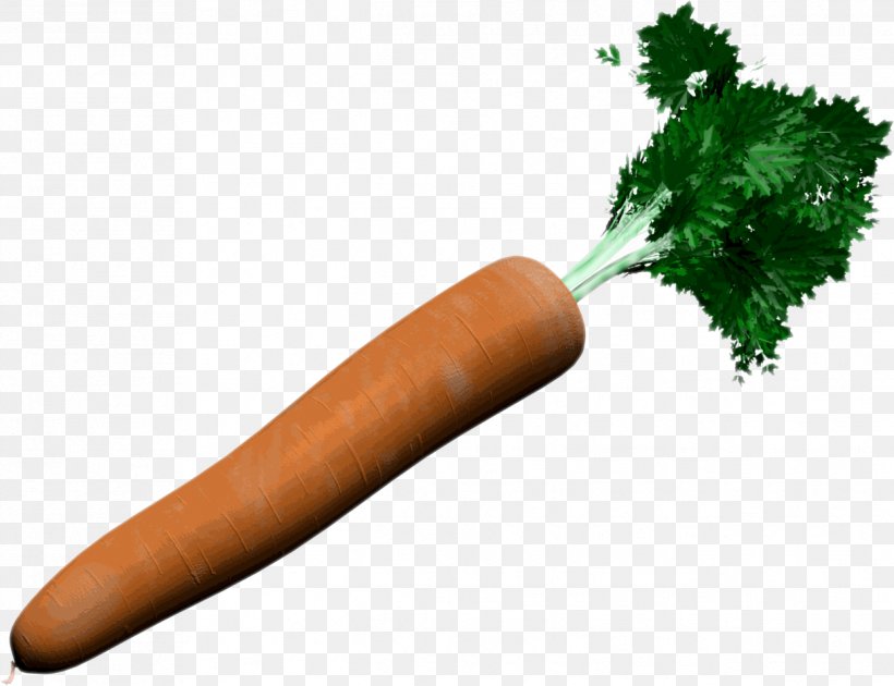 Carrot Vegetable Knackwurst, PNG, 1243x955px, Carrot, Bockwurst, Daucus Carota, Drawing, Food Download Free