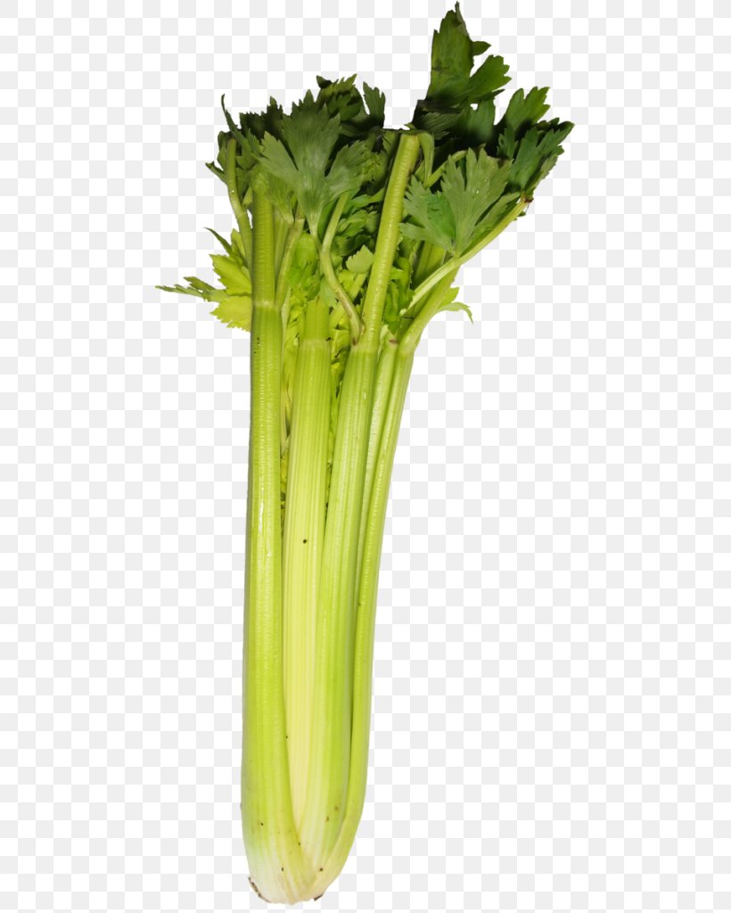 Celery Spring Greens Food Komatsuna Vegetable, PNG, 472x1024px, Celery, Choy Sum, Democratic Party, Fennel, Food Download Free