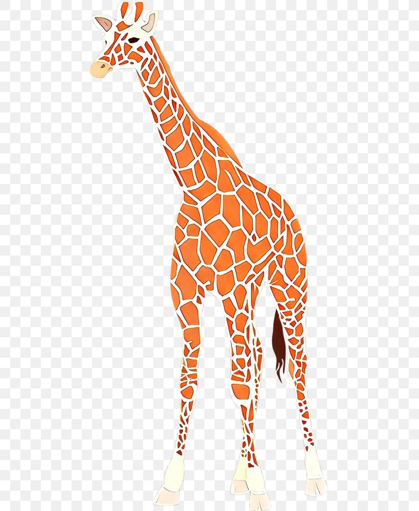 Clip Art Baby Giraffes Vector Graphics Drawing, PNG, 500x1000px, Baby Giraffes, Animal Figure, Art, Drawing, Fawn Download Free