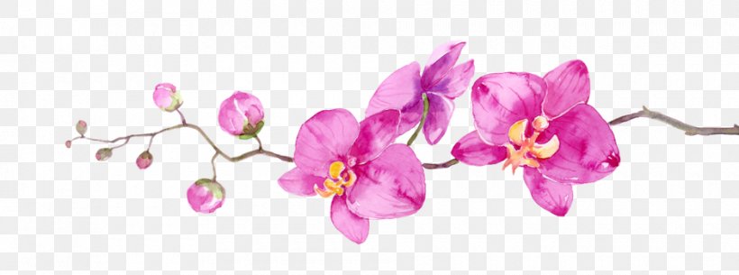 Cut Flowers Petal Branch Floral Design, PNG, 940x350px, Flower, Beauty, Beauty Parlour, Blossom, Branch Download Free
