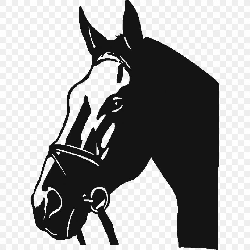 Horse Decal Bumper Sticker Polyvinyl Chloride, PNG, 1000x1000px, Horse, Black, Black And White, Bridle, Bumper Sticker Download Free