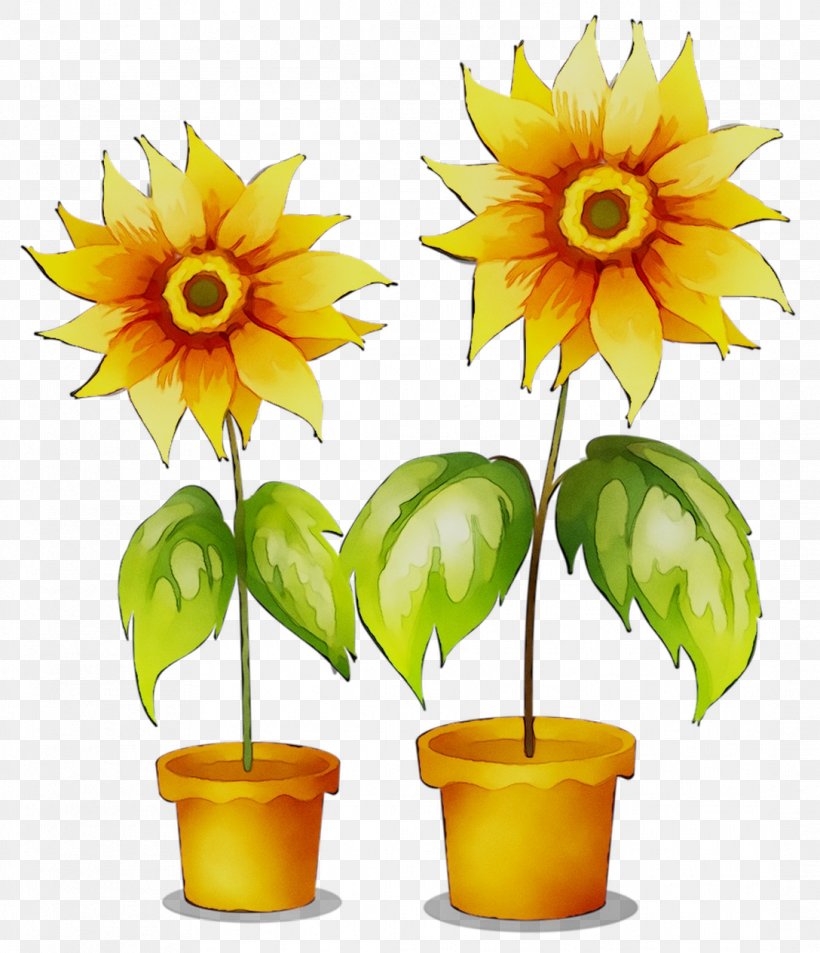New Saraswati House (India) Pvt. Ltd. New Delhi Train Floristry Sunflower, PNG, 1088x1265px, New Delhi, Cut Flowers, Floristry, Flower, Flowering Plant Download Free