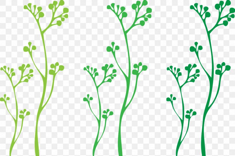 Plant Stem Clip Art, PNG, 1280x848px, Plant Stem, Branch, Flora, Flower, Grass Download Free
