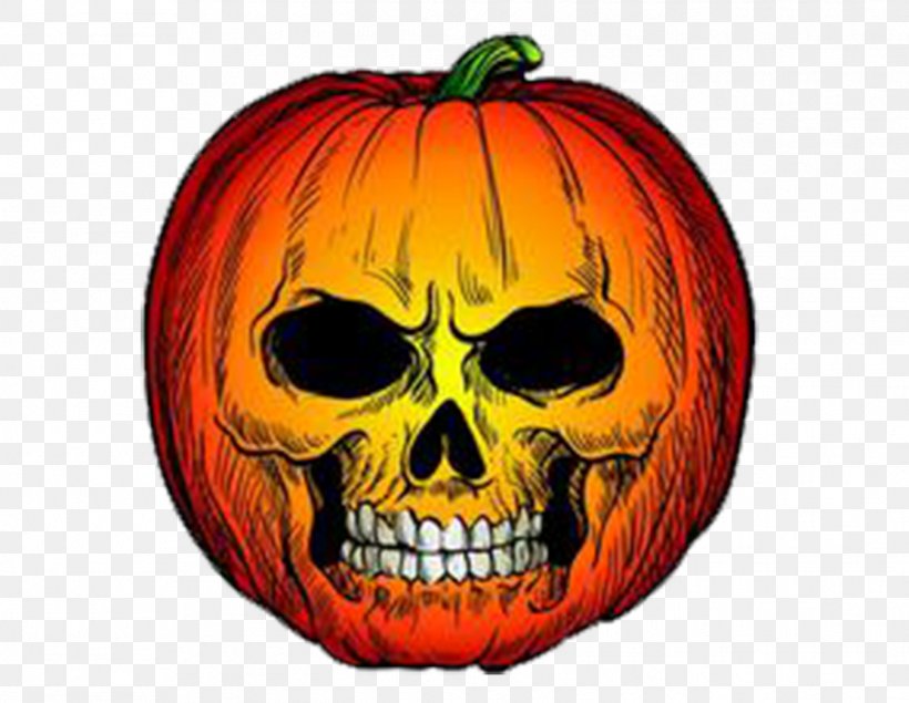 Pumpkin Halloween Clip Art, PNG, 1345x1042px, Pumpkin, Art, Calabaza, Cucurbita, Drawing Download Free
