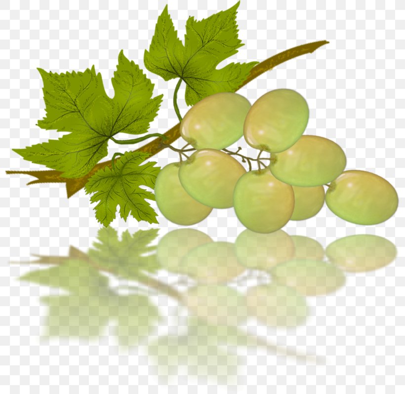 Sultana Grape Seedless Fruit, PNG, 800x798px, Sultana, Food, Fruit, Gooseberry, Grape Download Free
