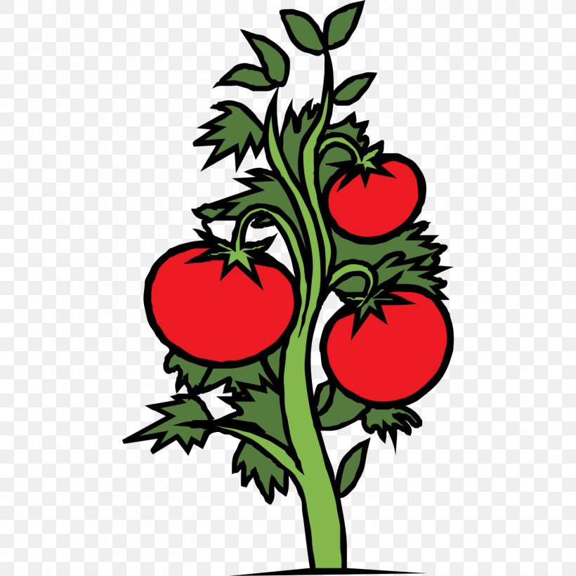 Cherry Tomato Plant Vegetable Clip Art, PNG, 1500x1500px, Cherry Tomato, Artwork, Cut Flowers, Drawing, Flora Download Free