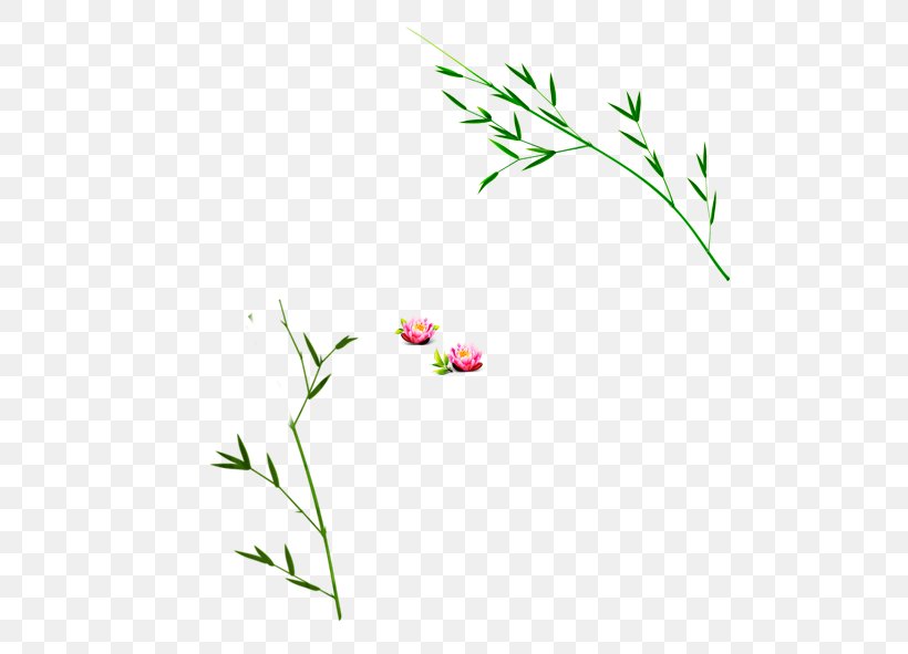 Floral Design Petal Pattern, PNG, 591x591px, Flora, Area, Branch, Floral Design, Flower Download Free