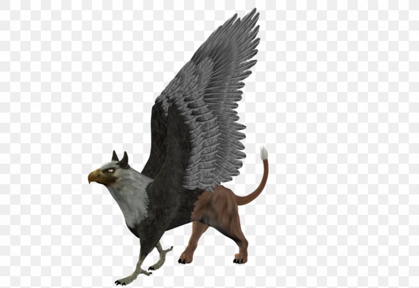 Griffin Clip Art, PNG, 900x618px, 3d Computer Graphics, Griffin, Art, Carnivoran, Cat Download Free