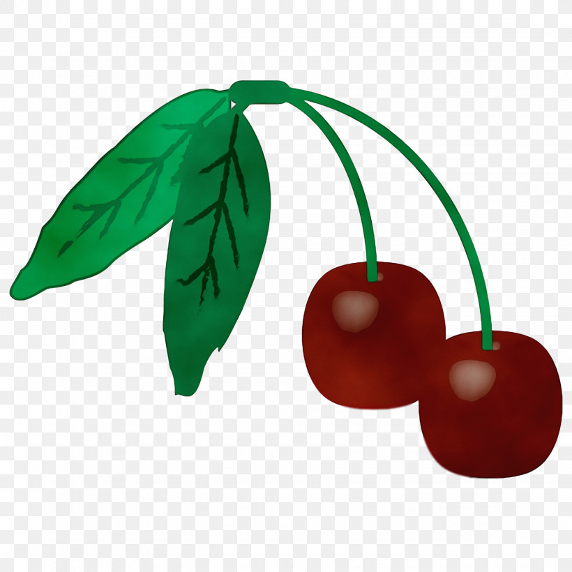 Leaf Cherry Plant Structure Biology Science, PNG, 1440x1440px, Watercolor, Biology, Cherry, Leaf, Paint Download Free