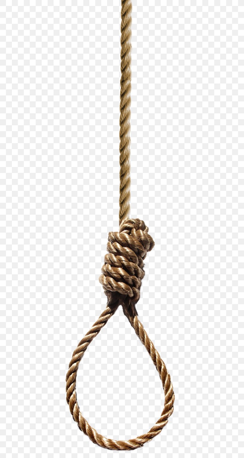 Noose Hangman's Knot Rope Clip Art, PNG, 404x1536px, Noose, Hanging, Hardware Accessory, Knot, Photography Download Free