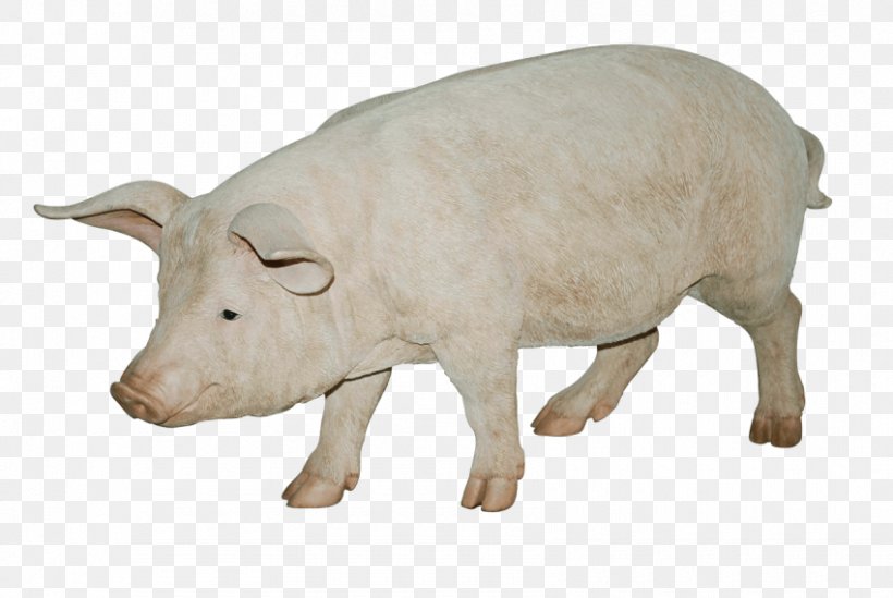 Pig Image File Formats, PNG, 850x570px, Pig, Animal Figure, Bitmap, Cattle Like Mammal, Cow Goat Family Download Free