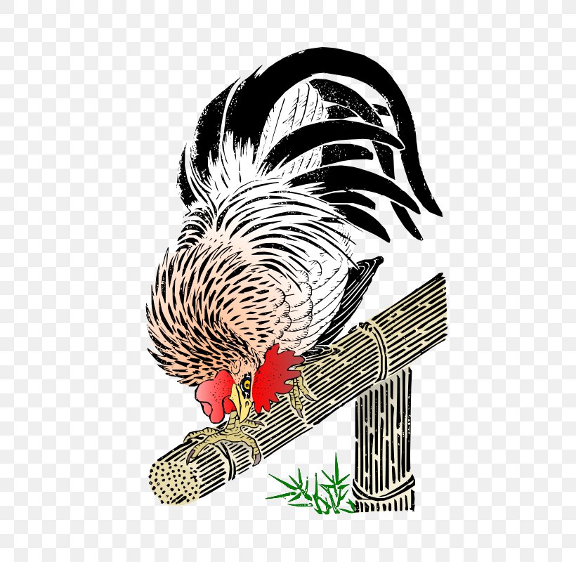 Rooster Chicken T-shirt Clip Art, PNG, 500x800px, Rooster, Art, Beak, Bird, Chicken Download Free