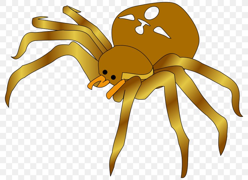 Spider Clip Art, PNG, 800x596px, Spider, Arthropod, Bee, Brown Recluse Spider, Cartoon Download Free