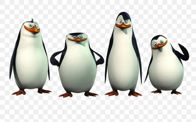 Kowalski Skipper Madagascar Animation Film, PNG, 1100x687px, Kowalski, Animation, Beak, Bird, Cinema Download Free