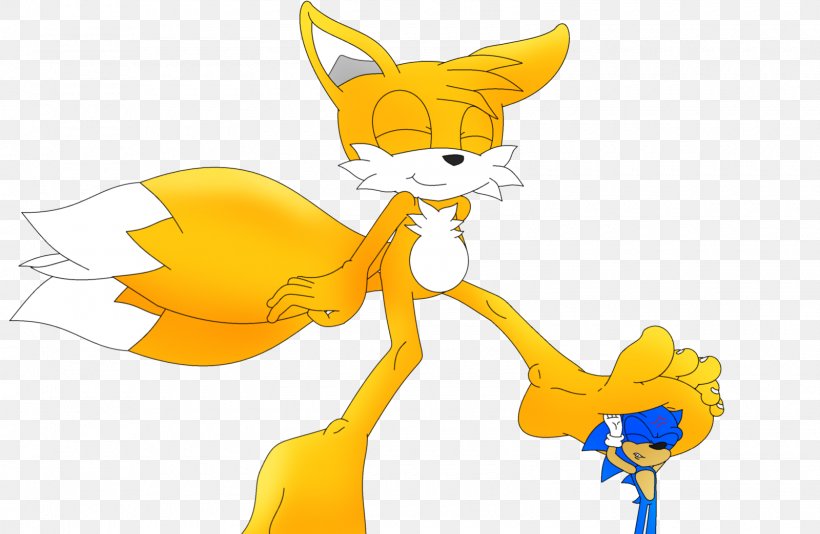 Tails Sonic Chaos Foot Sonic The Hedgehog Sonic Advance, PNG, 1600x1043px, Tails, Adventures Of Sonic The Hedgehog, Art, Carnivoran, Cartoon Download Free