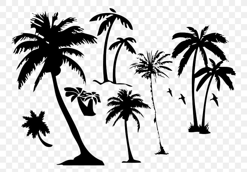 Arecaceae Tree Euclidean Vector Clip Art, PNG, 750x571px, Arecaceae, Arecales, Black And White, Borassus Flabellifer, Branch Download Free
